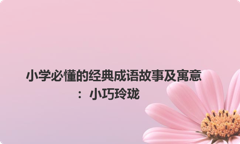 小学必懂的经典成语故事及寓意：小巧玲珑