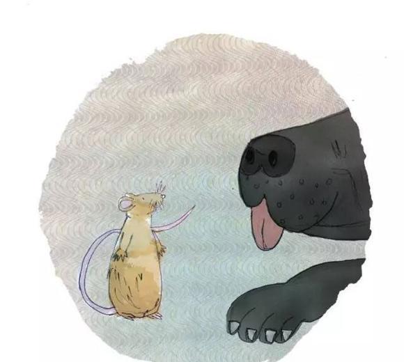 幼儿绘本推荐：小老鼠找新家（A House for a Mouse）