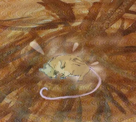 幼儿绘本推荐：小老鼠找新家（A House for a Mouse）