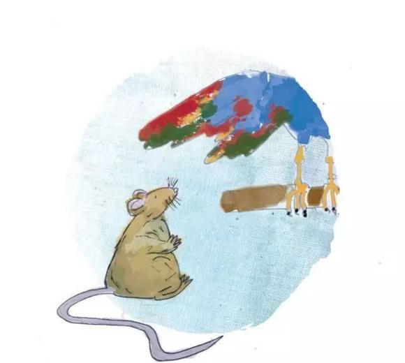 幼儿绘本推荐：小老鼠找新家（A House for a Mouse）