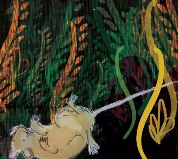 幼儿绘本推荐：小老鼠找新家（A House for a Mouse）