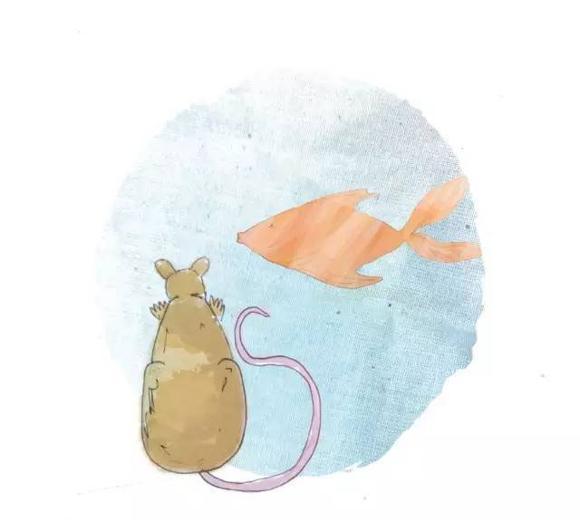 幼儿绘本推荐：小老鼠找新家（A House for a Mouse）