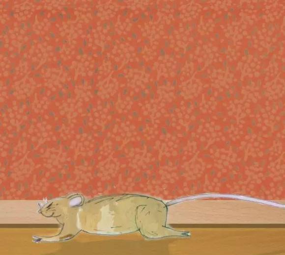 幼儿绘本推荐：小老鼠找新家（A House for a Mouse）