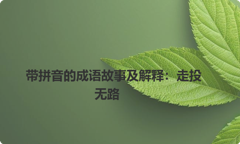 带拼音的成语故事及解释：走投无路