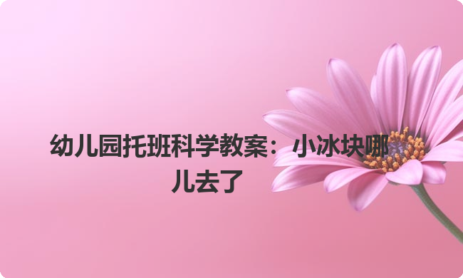 幼儿园托班科学教案：小冰块哪儿去了