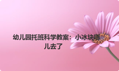 幼儿园托班科学教案：小冰块哪儿去了