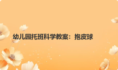 幼儿园托班科学教案：抱皮球