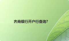 齐商银行开户行查询？