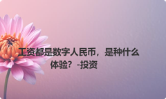 工资都是数字人民币，是种什么体验？-投资