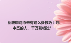 新股申购原来有这么多技巧！想中签的人，千万别错过！