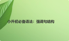 小升初必备语法：强调句结构