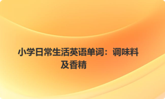 小学日常生活英语单词：调味料及香精