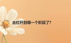 去杠杆到哪一个阶段了？