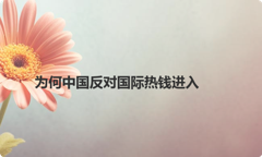 为何中国反对国际热钱进入