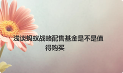 浅谈蚂蚁战略配售基金是不是值得购买
