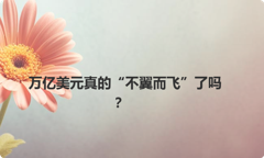 万亿美元真的“不翼而飞”了吗？