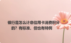 银行是怎么计息信用卡消费积分的？有标准，但也有特例