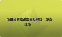 带拼音的成语故事及解释：终南捷径
