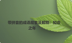 带拼音的成语故事及解释：知命之年