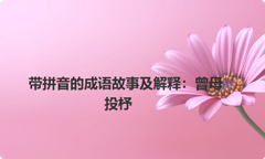 带拼音的成语故事及解释：曾母投杼