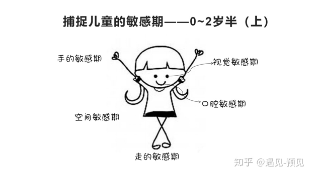 1-4岁的的宝宝都有哪些敏感期？