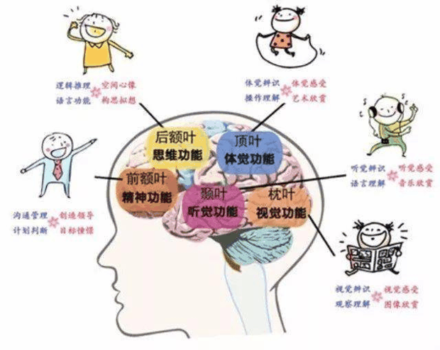 孩子智力并非全靠遗传，有三次变聪明的机会，父母要多注意