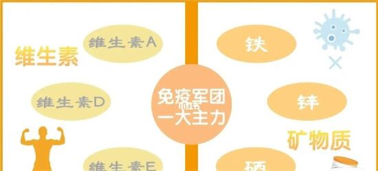 缺锌的小孩会有哪些特征？