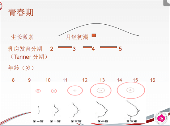 上了初中的孩子为什么总是难以管教？这几点能帮到你