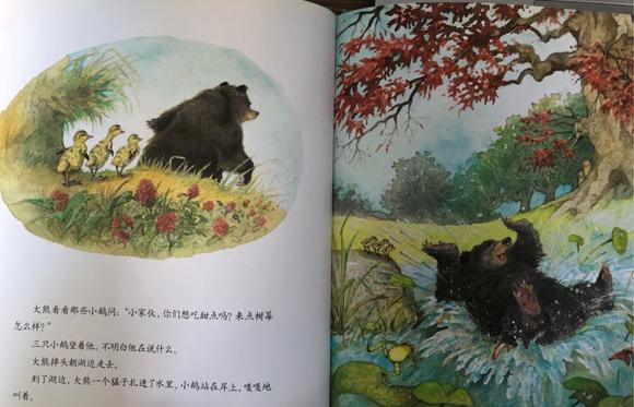 幼儿绘本故事推荐：大熊捡的蛋