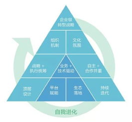 找准定位，探索差异化数字化转型策略