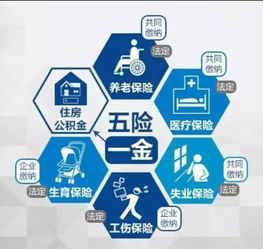 五险分别是什么？