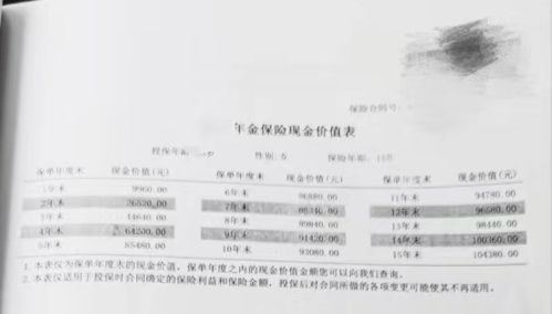 国际海商法下的保险合同纠纷