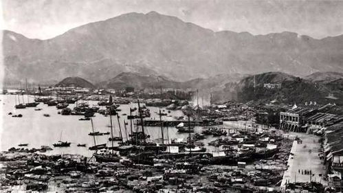 渔村出身,香港求学
