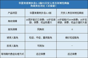 保额和现金价值的关系