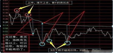 中长线持有（保持半仓转动、盘中做T）：