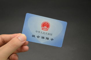 参保险种的不同
