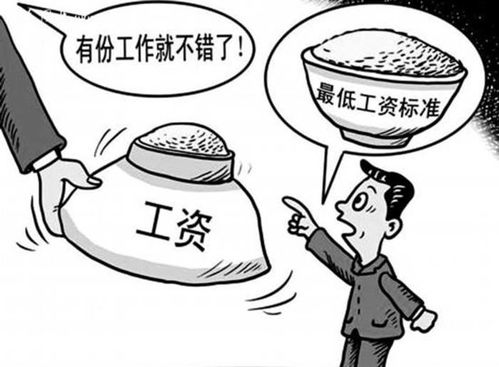 养老金的参照目标不是最低工资。