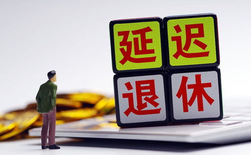 专家：养老金上调，年轻人缴费压力大