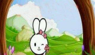 绘本：扎蝴蝶结的兔子