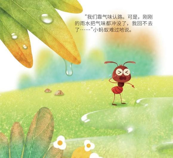 幼儿绘本：蚂蚁回家