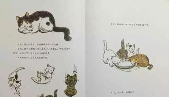 绘本故事：去月亮上取牛奶的猫