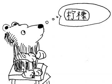 幼儿绘本推荐：晴天小熊系列故事