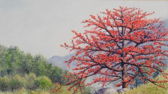 幼儿绘本：风姐姐，对不起