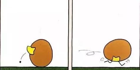 幼儿绘本故事：你好，鸡蛋哥哥