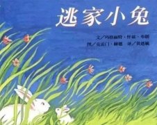 幼儿绘本故事：逃家小兔