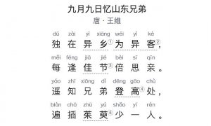 国学古诗启蒙（3） | 九月九日忆山东兄弟（唐·王维）