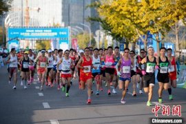 国内四大马拉松是指什么，厦门、上海、北