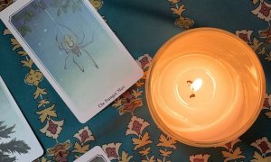 **2023年十二生肖下半年【事业/财运】解析！**